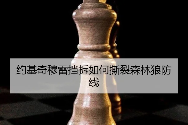 约基奇穆雷挡拆如何撕裂森林狼防线